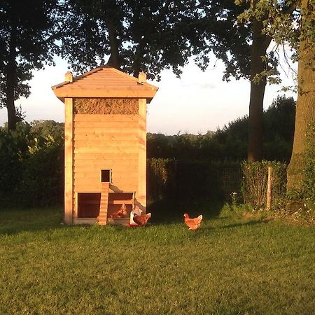 Bed En Boterham Hoeve Boord Ven Bed & Breakfast Eersel Eksteriør bilde